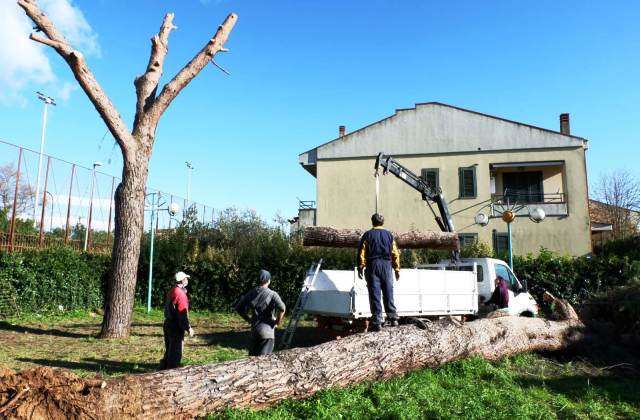 Caltagirone: 14 percettori del Reddito di cittadinanza all’opera nella cura delle aree verdi